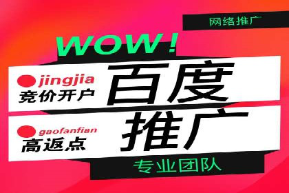 电商信息流广告推广成功案例分享